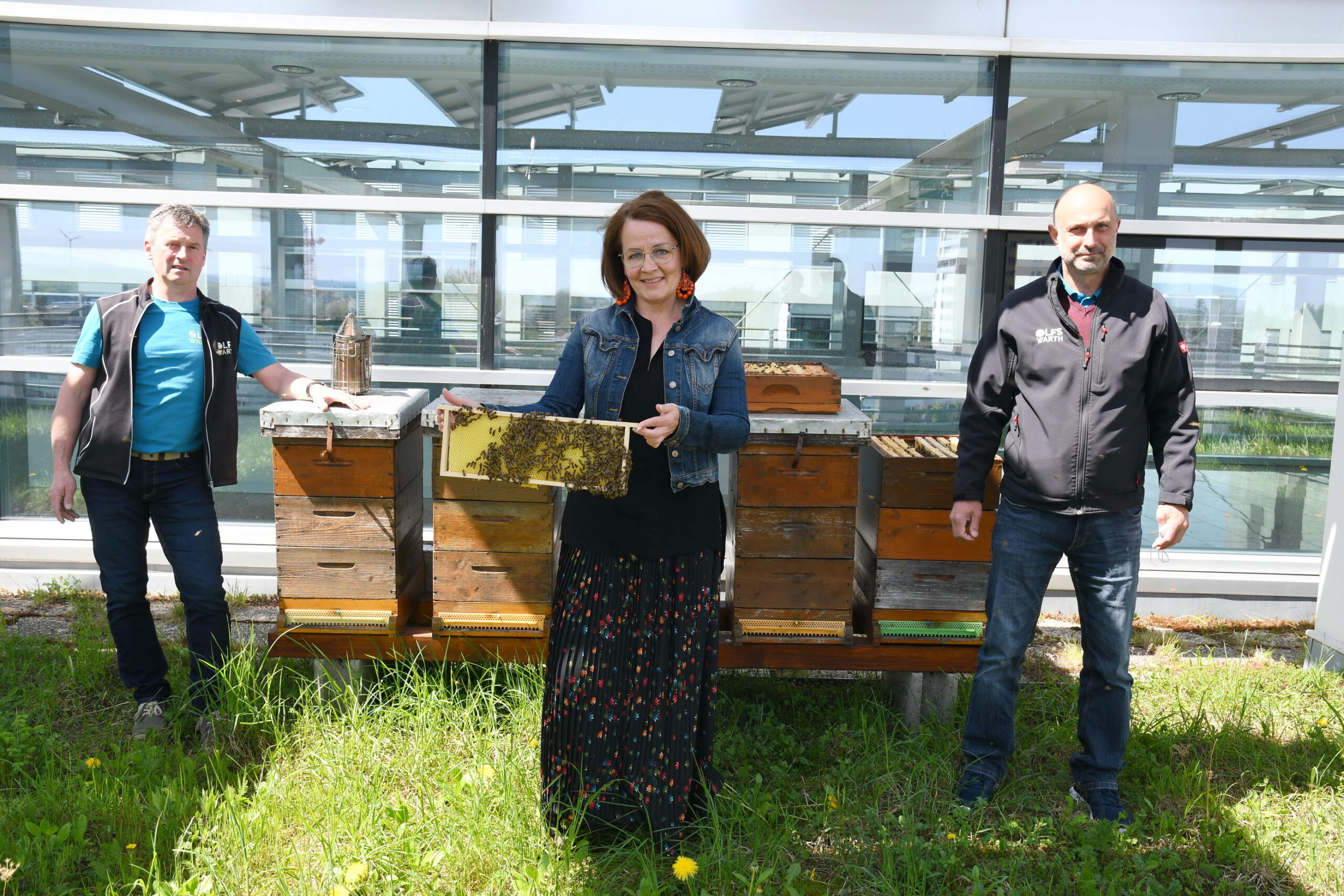 Fünf Bienenvölker der Imkerschule Warth auf dem Dach des Landhauses