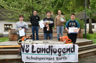 Waldarbeitswettbewerb