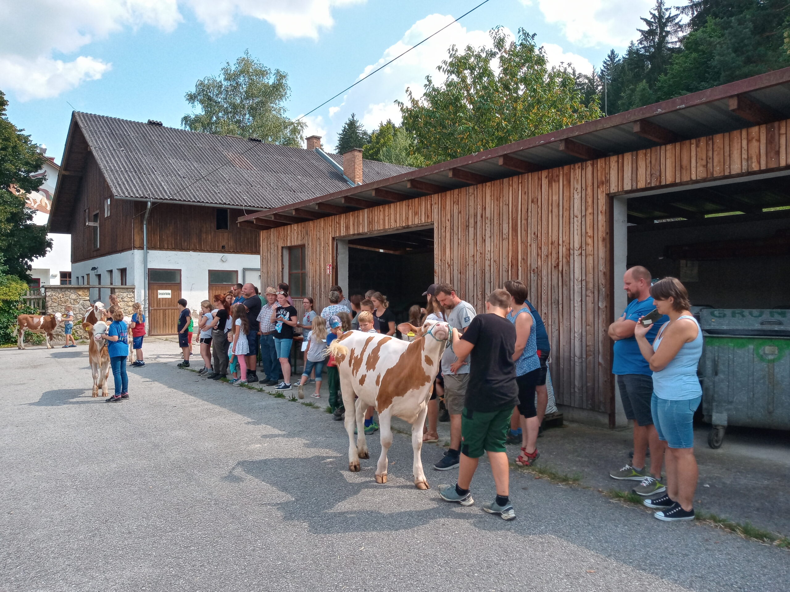 Jungzüchter2-21