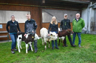 Kälber 3 Rassen-Warth-23 Copyright Mück Kälber 3 Rassen-Warth-23 Copyright Mück