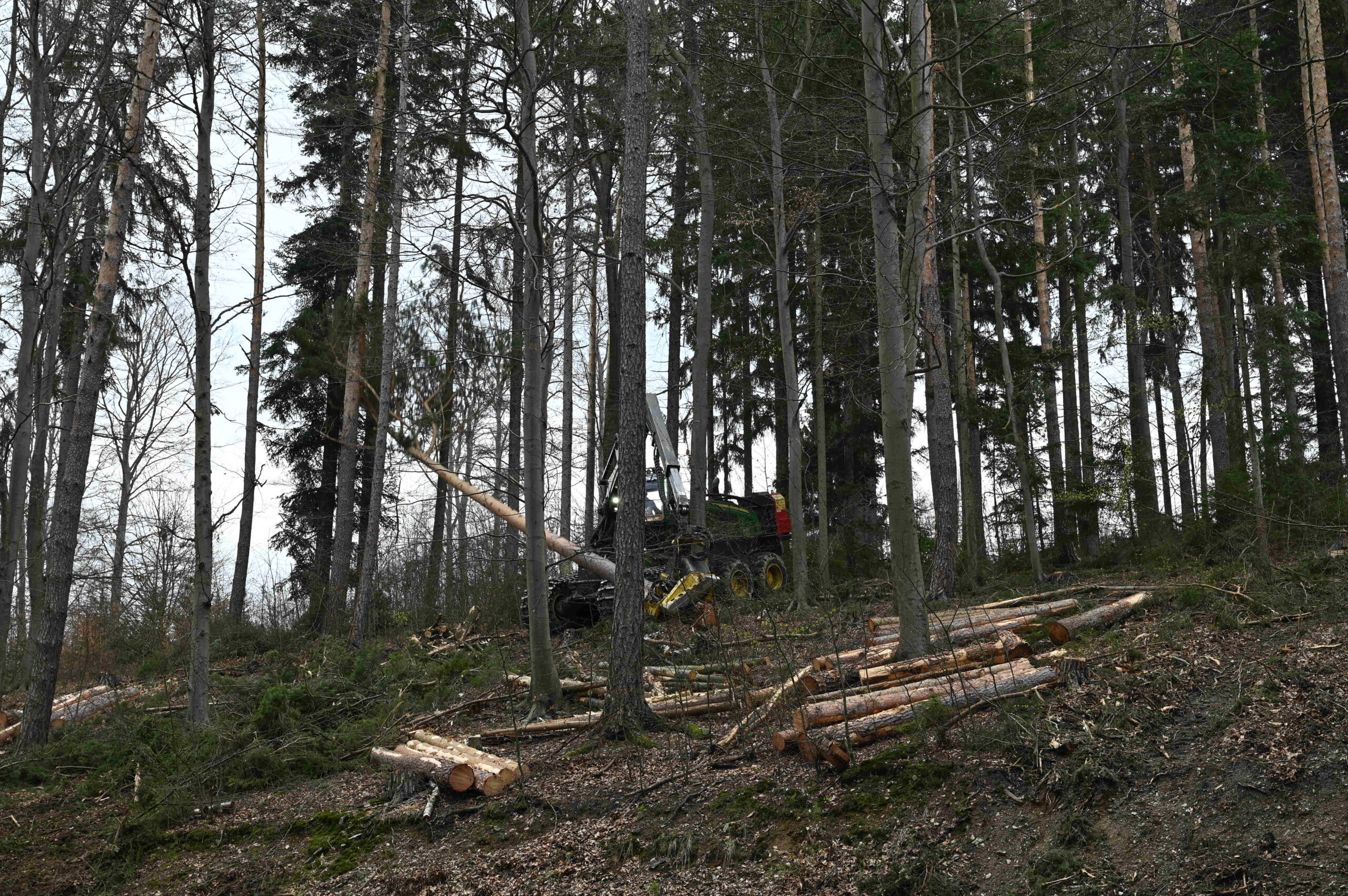 Harvester Einsatz1-23