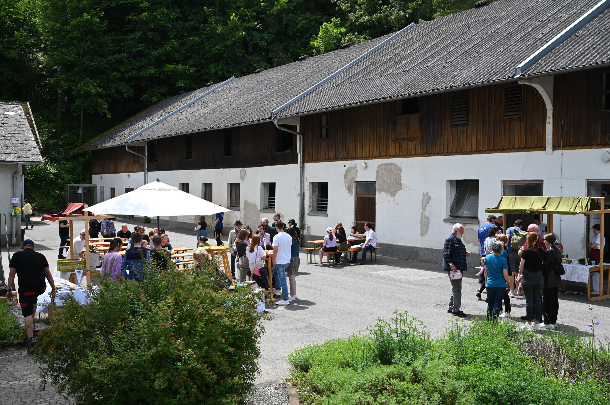 Birkenhof