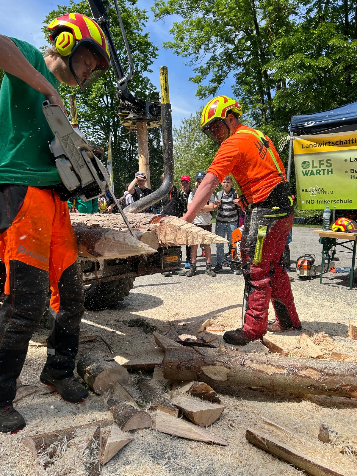Waldjugendspiele2 2025 Waldjugendspiele2 2025