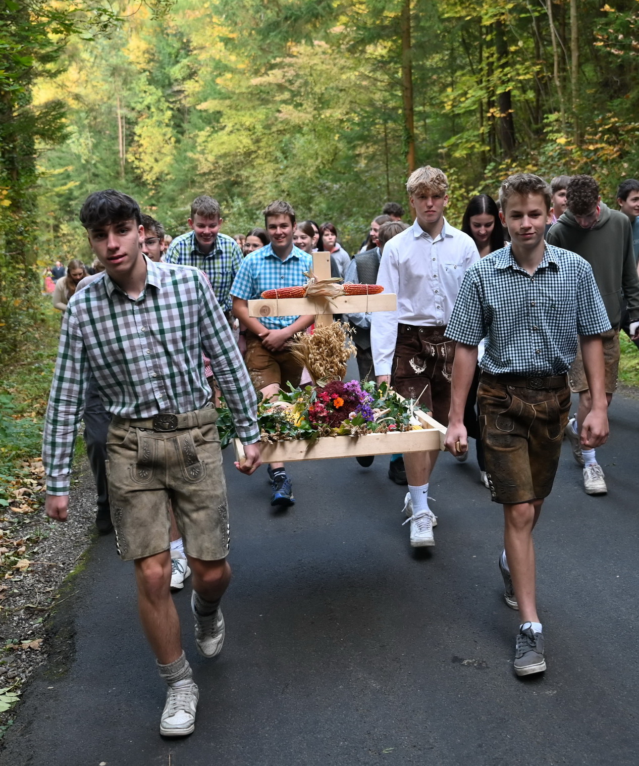 Wald1+ zugeschnitten