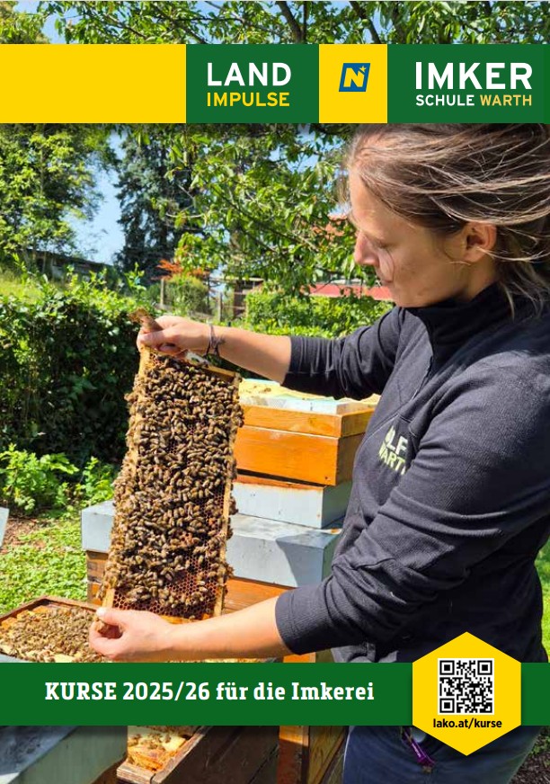 Kursprogramm_Titelseite_2025