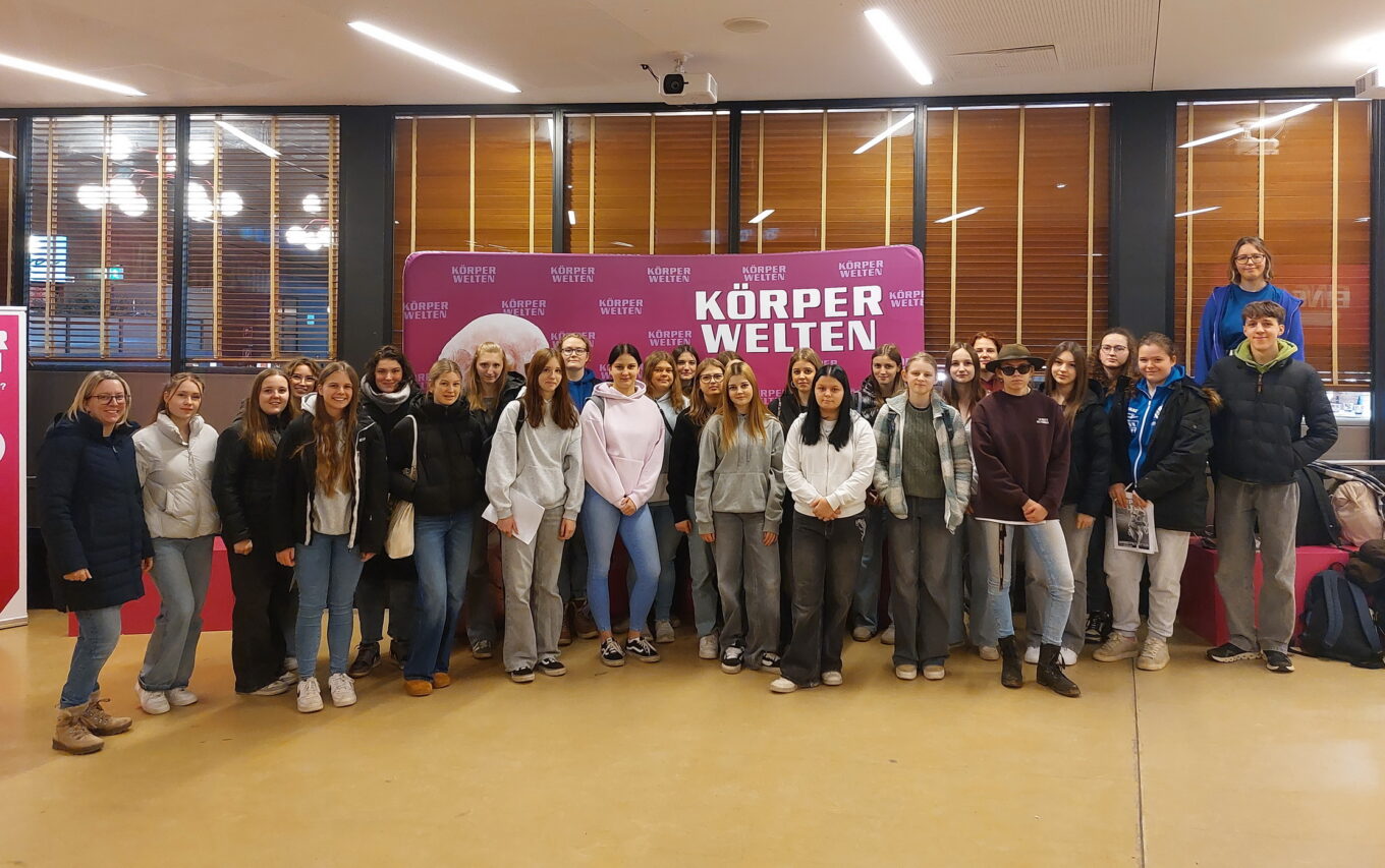 Ausstellung „Körperwelten“ in Wien besucht