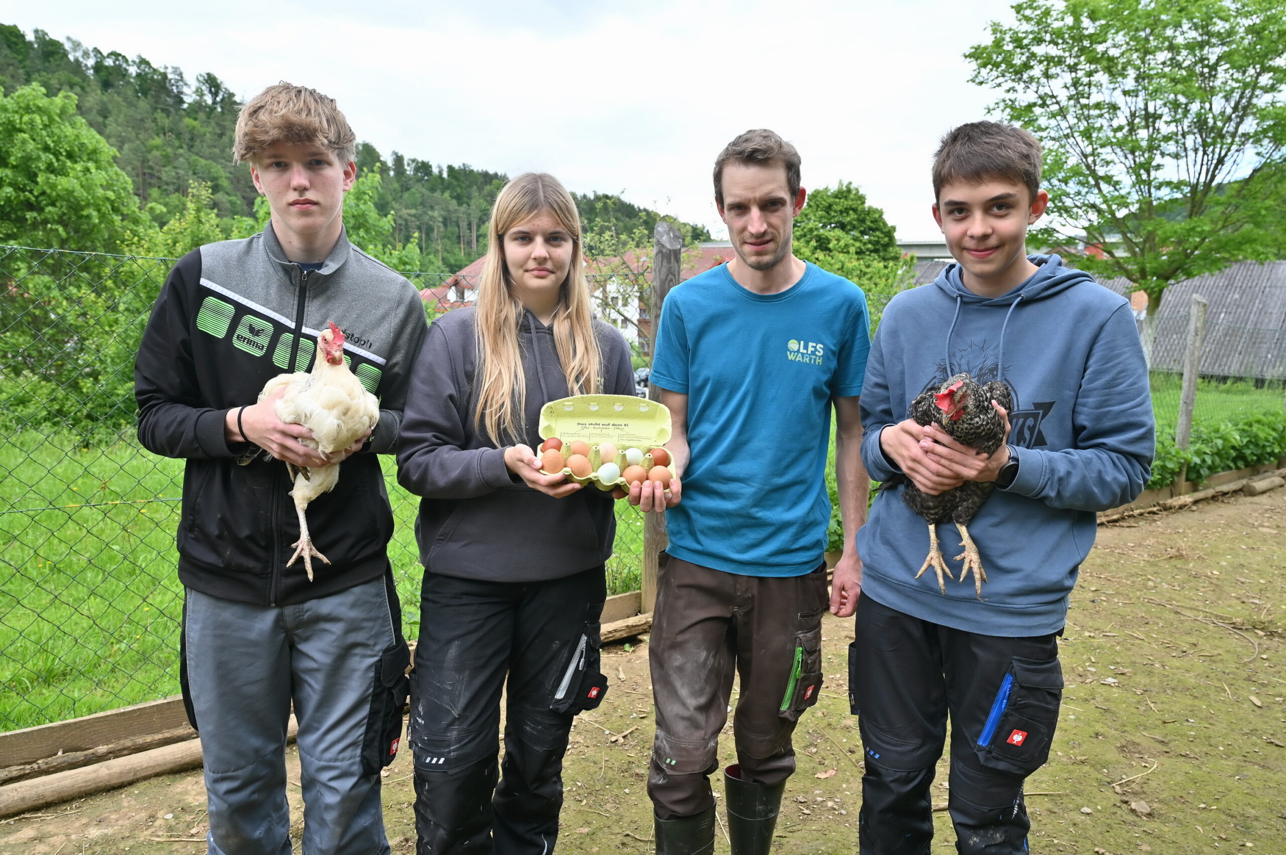 Hühnerstall: Breites Spektrum an Freilandhühnern, die bunte Eier legen