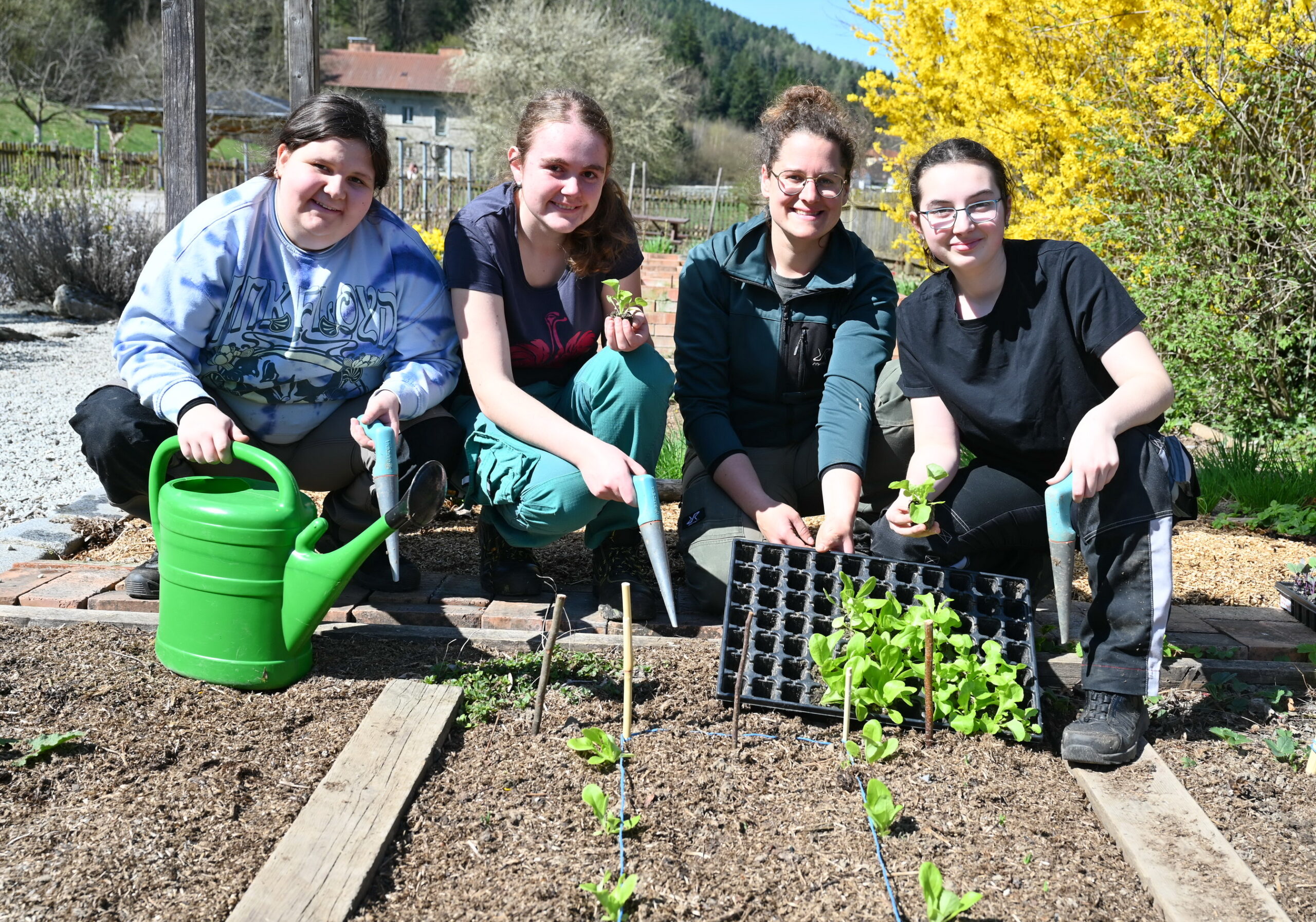 Frühlingserwachen im Bauerngarten