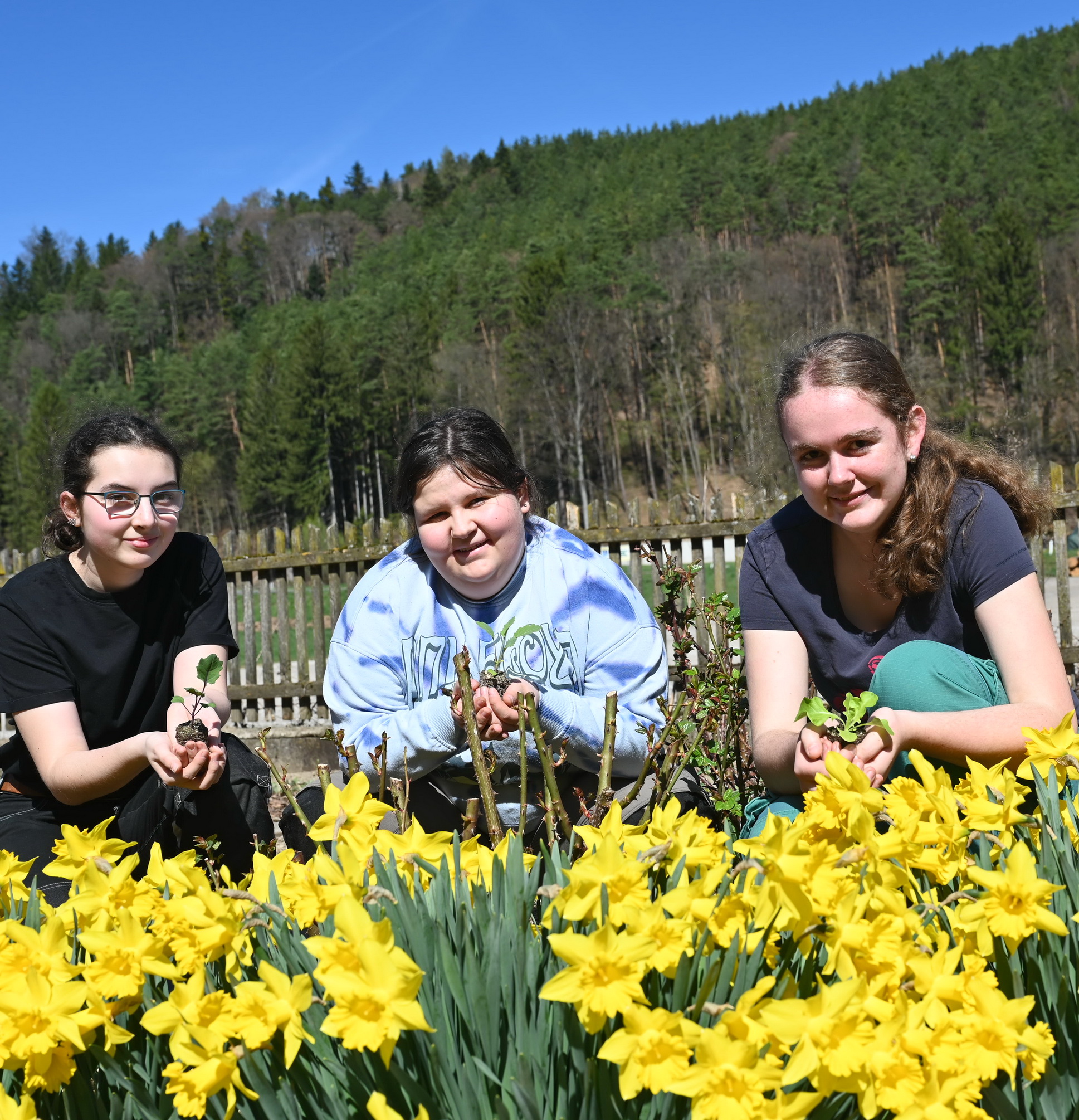Warth-Garten2-26 zugeschnitten