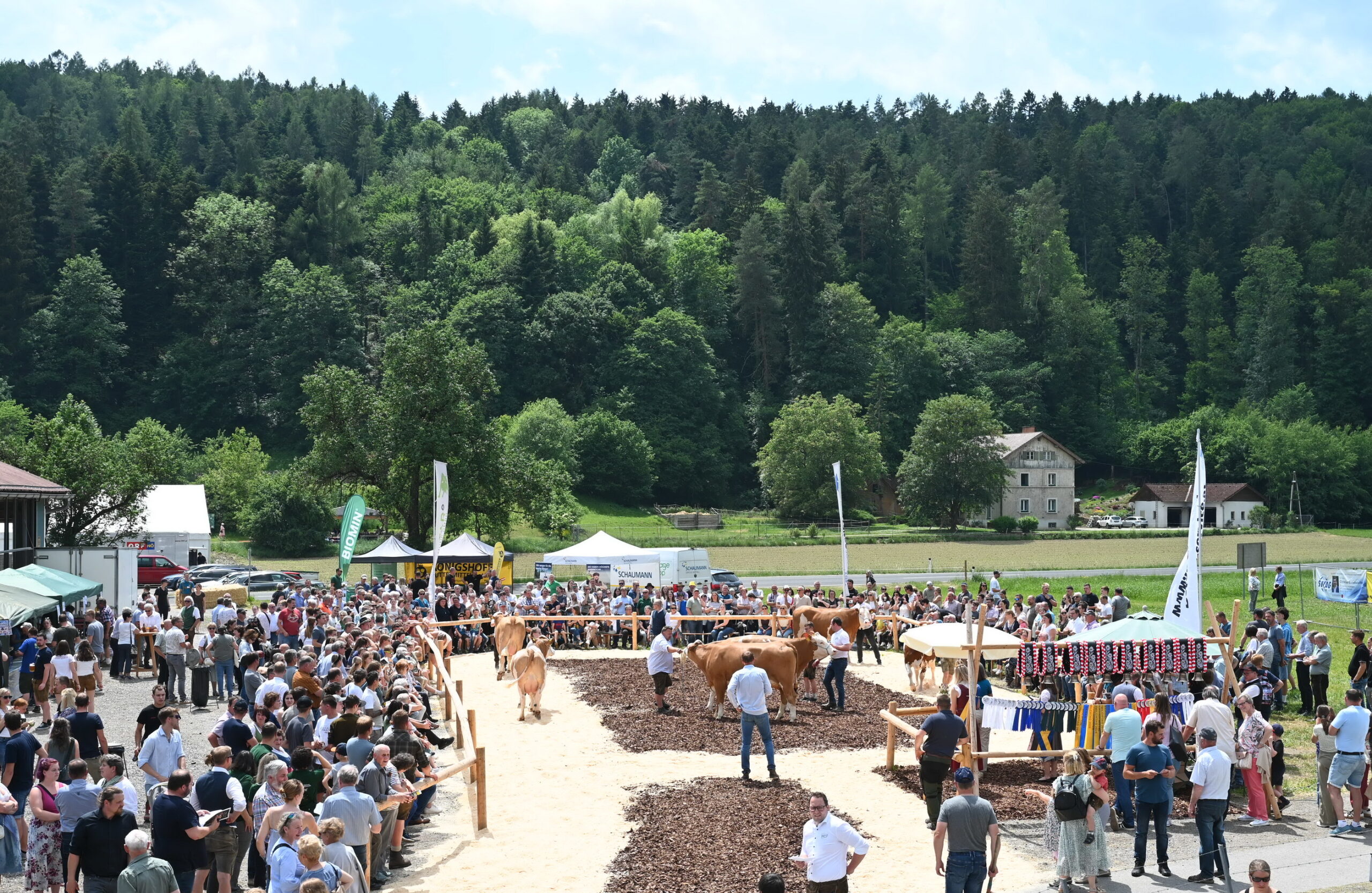 Rinderschau-Draufsicht Copyright Mück